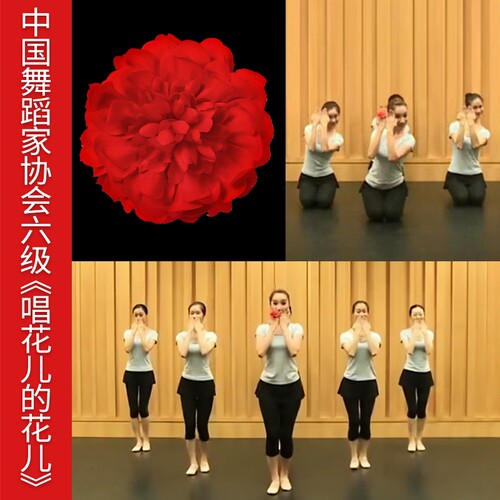 考级六级舞蹈考级道具舞蹈指环花