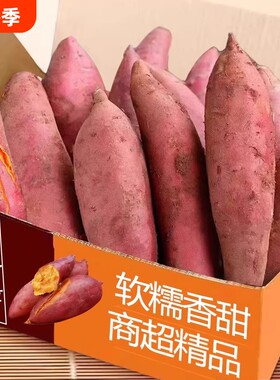 红薯龙九蜜薯糖心新鲜番薯板栗六鳌沙地地瓜山芋农家自种黄心香甜