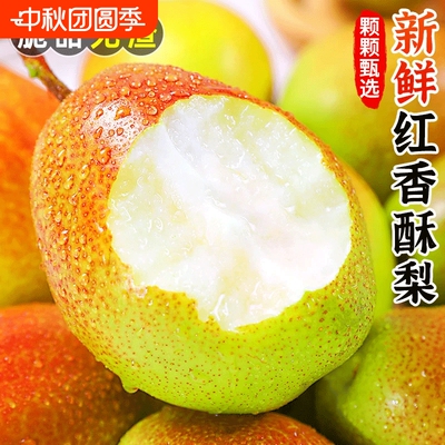 正宗红香酥梨新鲜应季水果时令现摘当季梨子脆甜香梨薄皮多汁整箱