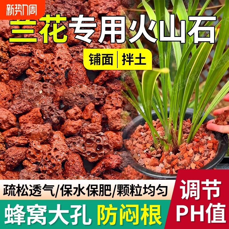 兰花专用火山石养花盆栽铺面鱼缸造景底部砂颗粒石头蝴蝶兰多肉图片