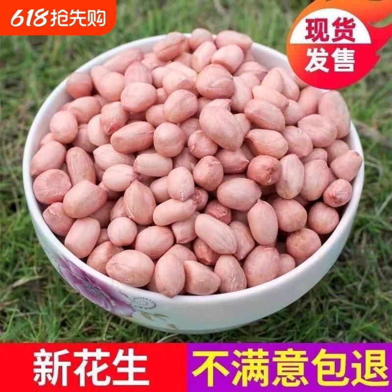 2025年新货白沙花生米大粒粉红皮带壳不带壳榨油花生大颗粒食用