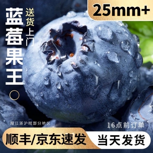 包邮 云南花香蓝莓新鲜果高山当季 水果l25整箱特大果产地直发顺丰