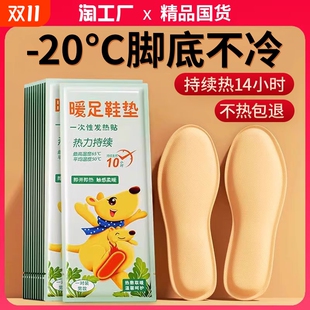 自发热鞋 垫女暖脚贴自加热冬可行走男暖足贴暖脚底热垫脚冷足底