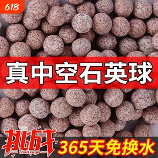 鱼缸净水培菌过滤材料纳米中空球珊瑚骨硝化细菌屋鱼池生化陶瓷环