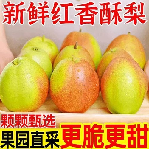红香酥梨源自山西香梨应季水果新鲜梨子批发正宗脆甜皮薄酥梨批发
