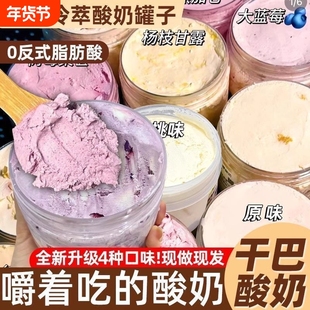 冷萃干噎酸奶正品希腊酸奶球干巴干嚼固体杨枝甘露石膏官方旗舰店