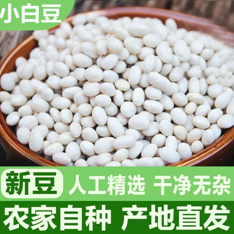 贵州特产小白豆小白芸豆雪豆云豆菜豆贵州新货四川饭豆珍珠豆扁豆