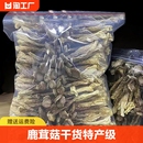 鹿茸菇干货特产级500g云南营养菌菇类干蘑菇鹿茸菌山珍煲汤非香菇