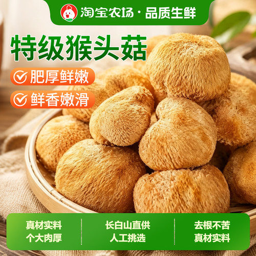 【顺丰包邮】东北长白山猴头菇