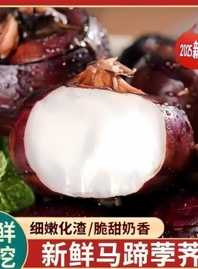 新鲜马蹄荸荠地栗地梨农家自种5斤现挖应季水果蔬菜生吃脆甜多汁