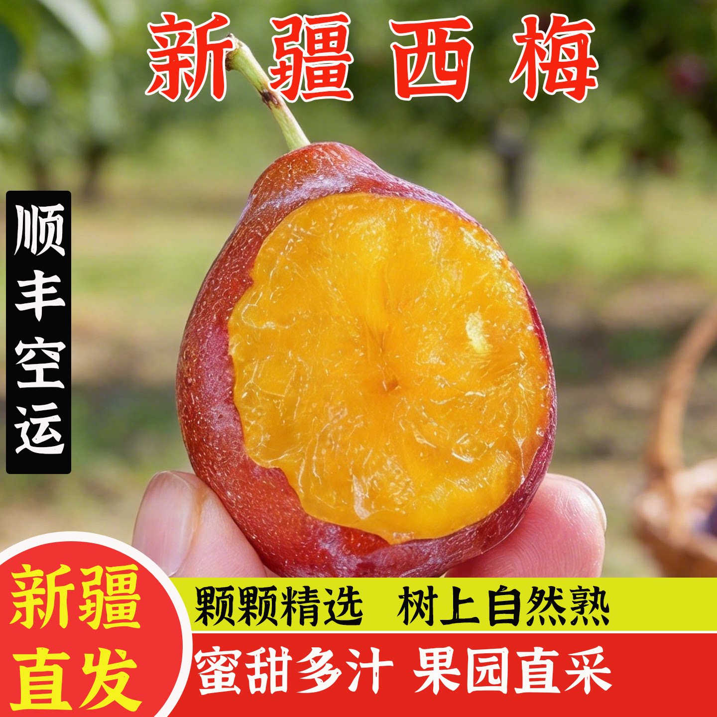 新疆法兰西西梅喀什产地直发自然熟果肉饱满新鲜当季水果顺丰空运