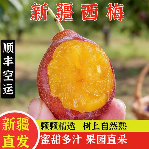 新疆西梅喀什果肉饱满顺丰空运