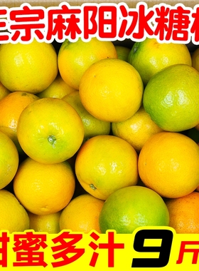 一级正宗湖南麻阳冰糖橙9斤包邮新鲜水果橙子当季整箱柑手剥甜橙