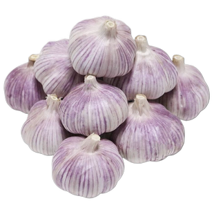 金乡大蒜 新鲜干大蒜头5斤装蒜籽2024当季蔬菜批发紫皮特大10斤