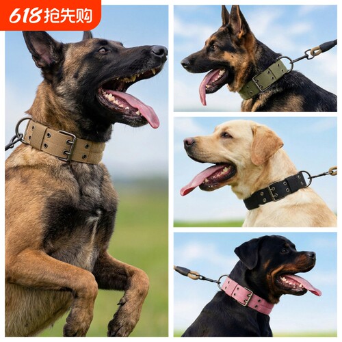 狗狗脖圈五金插扣项圈牵引绳双针扣款狗圈中大型犬防暴冲专用结实