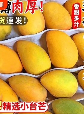 全黄海南小台农芒果多汁正宗芒应季新鲜水果产地直发热带自提现摘