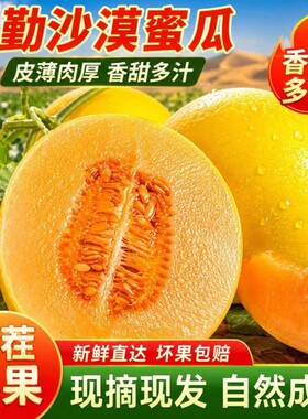 头茬沙漠蜜甜瓜新鲜水果