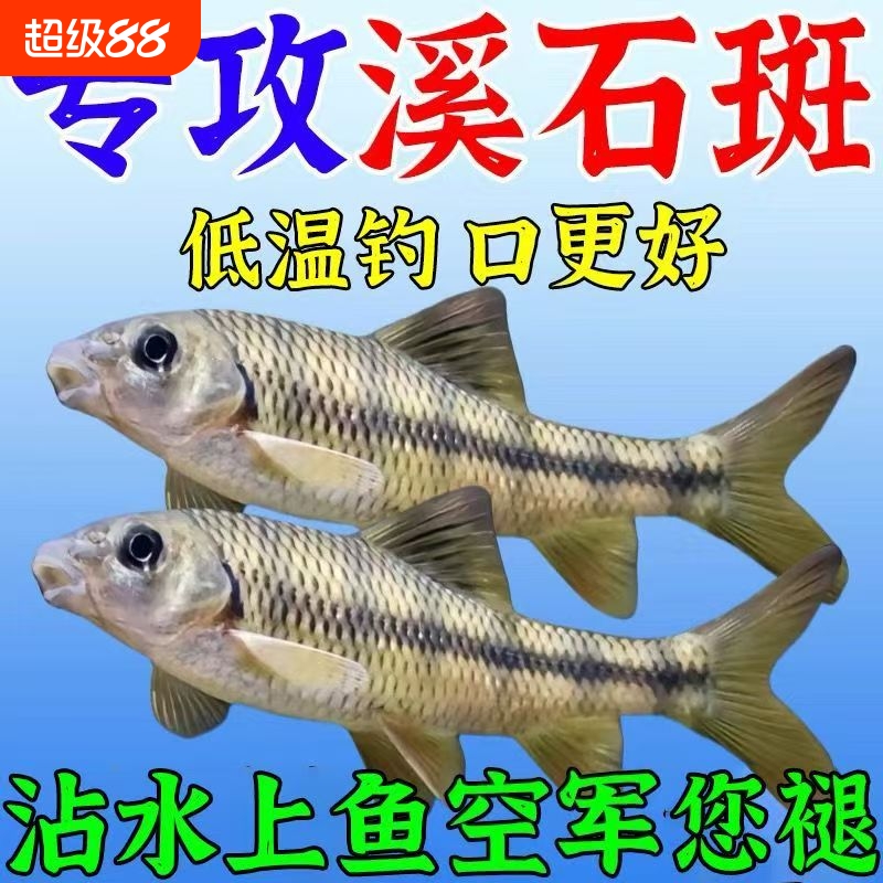 溪石斑鱼专用饵料粉饵腥香中国