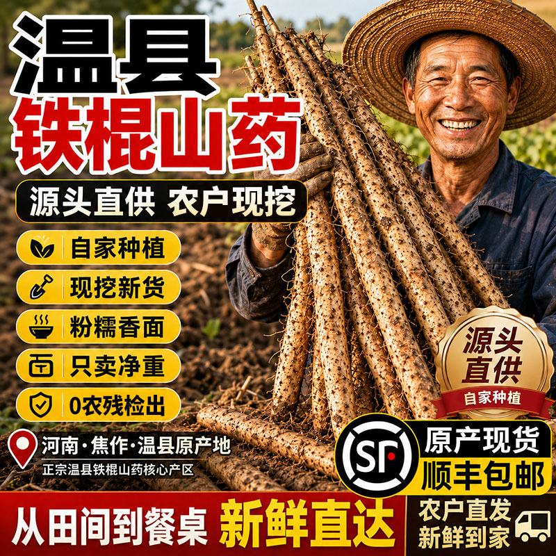 河南焦作温县铁棍山药垆土淮山药正宗怀山药特产新鲜山药5斤去皮