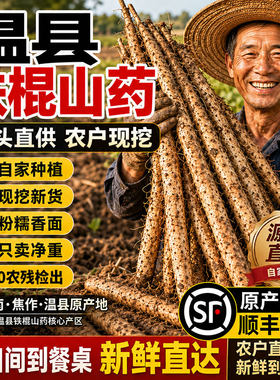 河南焦作温县铁棍山药垆土淮山药正宗怀山药特产新鲜山药5斤去皮