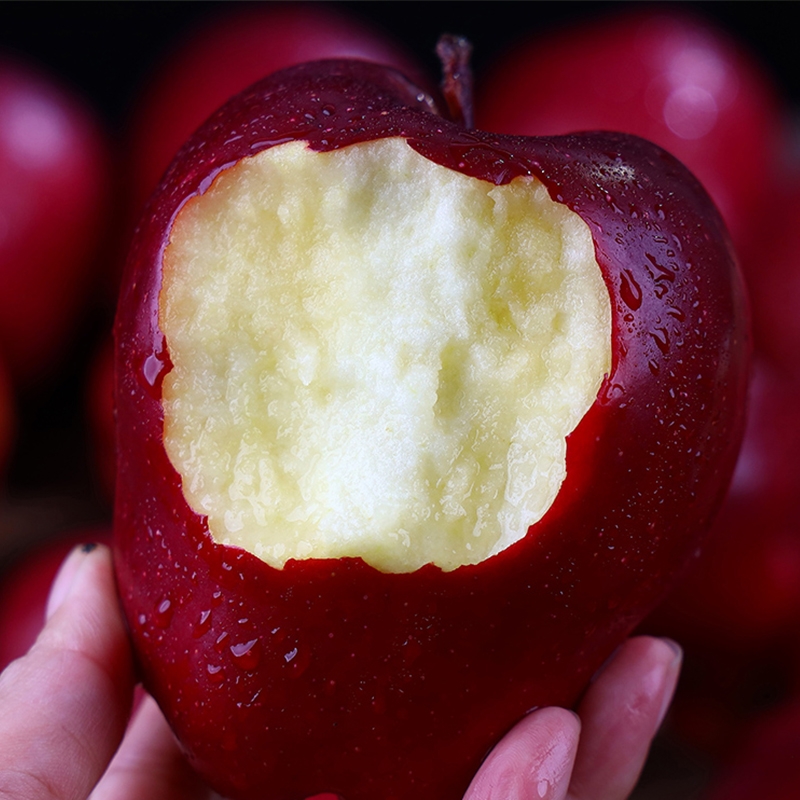 【优质产区】甘肃天水花牛新鲜采摘圣诞平安夜红蛇苹果整箱包邮