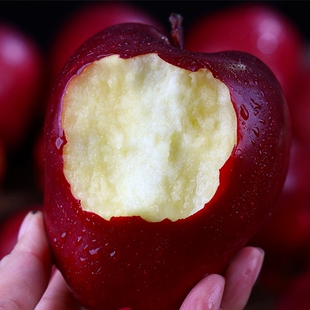 包邮 甘肃天水花牛新鲜采摘圣诞平安夜红蛇苹果整箱 优质产区