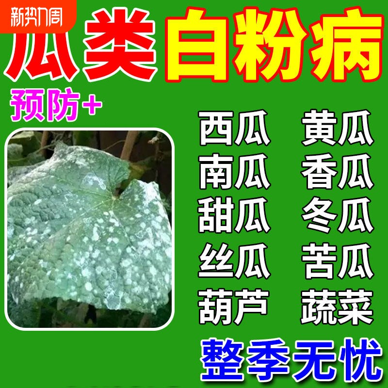 瓜类白粉病专用药西瓜青黄瓜甜瓜南瓜冬瓜果蔬菜软腐白斑杀菌剂