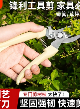 园艺剪修枝剪花剪园林剪刀花艺剪剪树枝果树枝剪修剪花卉剪子剪枝