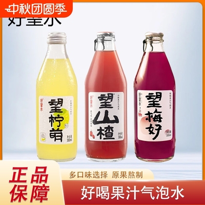 好望水望山楂杨梅柠檬果汁气泡水饮料碳酸饮料300ml