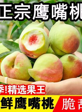 当应季脆甜鹰嘴毛桃子新鲜时令孕妇水果整箱水蜜桃青脆桃