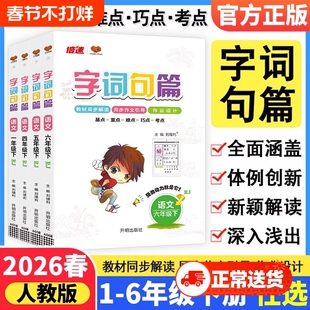 2026春字词句篇小学一二三四五六年级下册语文人教版生字详解字词句段篇章讲解教材同步专项训练练习册字词训练辅导资料书万象思维