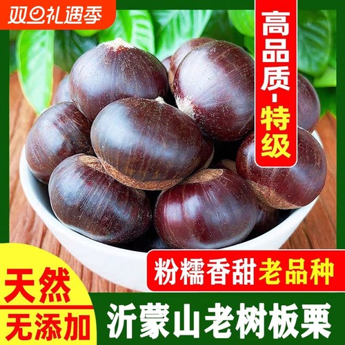 板栗新鲜正宗山东老树油栗生栗子婚用板栗当季精选新货油板栗
