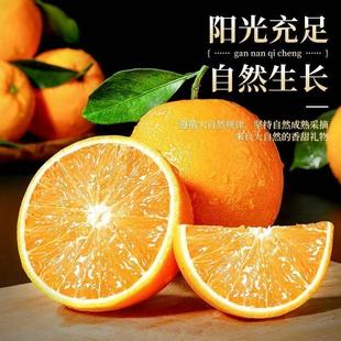 一步8.9！赣南脐橙4.5斤！大果70-90mm