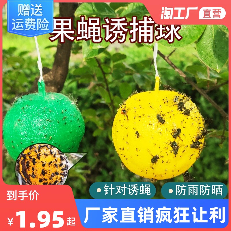 粘虫球丝瓜果实蝇贴诱蝇球针蜂马蜂色引诱剂果蝇诱捕器双面黄板纸属于什么档次？
