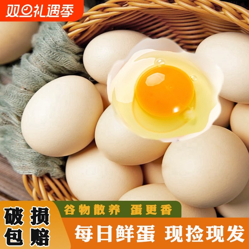 农家散养无添加土鸡蛋现捡现发谷物喂养初生蛋宝宝辅食营养全