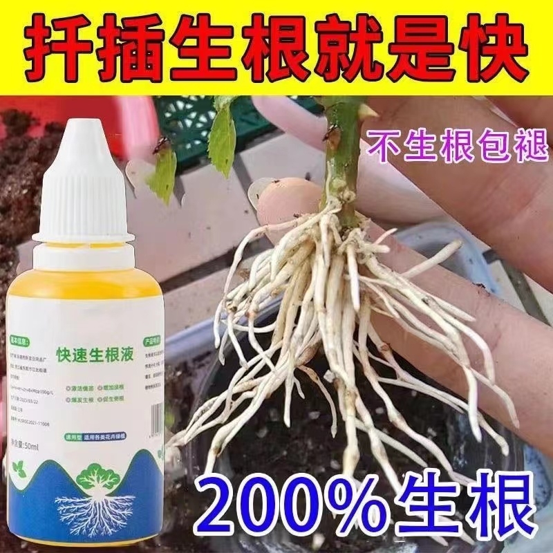 快速生根液花草树木月季花水培植物花卉水养