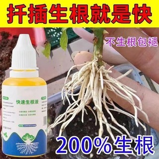 快速生根液花草树木月季花水培植物花卉多肉通用型强力扦插果树