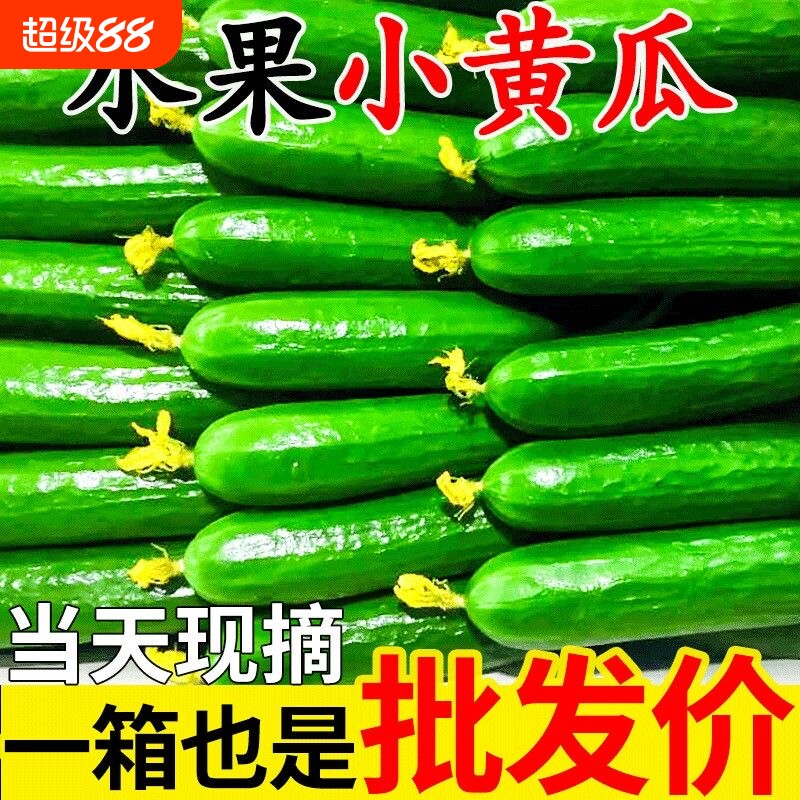 正宗荷兰水果翡翠小黄瓜3-5斤图片