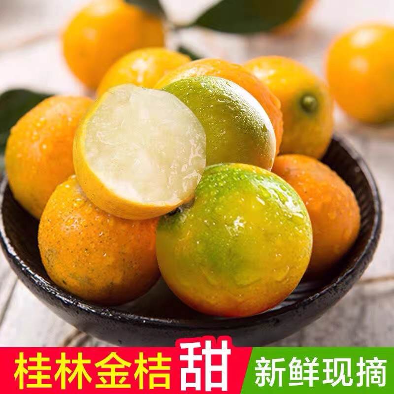 正宗广西脆皮金桔大果桔子新鲜水果蜜桔香甜橘子新鲜水果