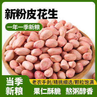 新花生 农家现剥新鲜花生特大颗粒新货粉皮新鲜花生米不带壳当季