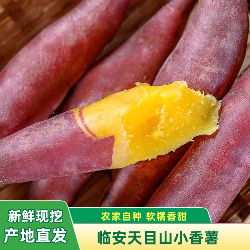 临安天目山小香薯现挖软糯番薯