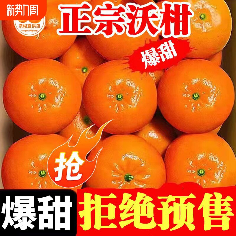 正宗云南爆甜沃柑当季新鲜现摘大果柑橘沙糖蜜桔子整箱广西武鸣县