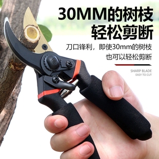 修枝剪园艺剪刀剪树枝专用园林修剪果树修枝花艺修花剪剪枝剪剪花