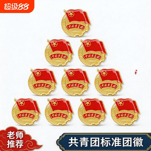 团徽磁吸款金属徽章新版