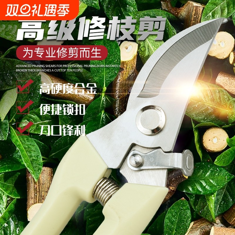 园艺剪树枝剪花卉剪盆栽剪家用