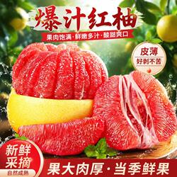 正宗福建平和红柚红肉柚子新鲜现摘应季水果孕妇水果精选蜜柚子