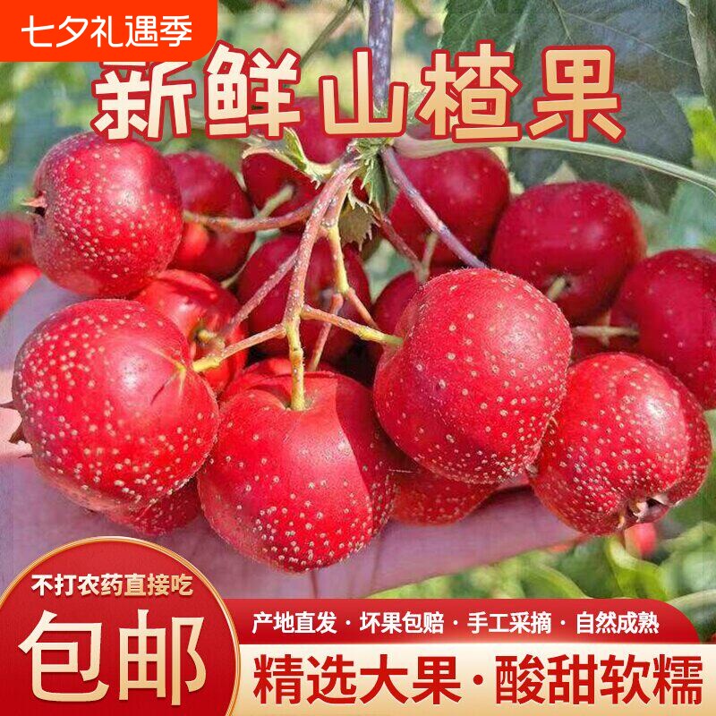 新鲜山楂果5斤山桃好果当季水果现摘鲜果大金星5斤整箱包邮配送