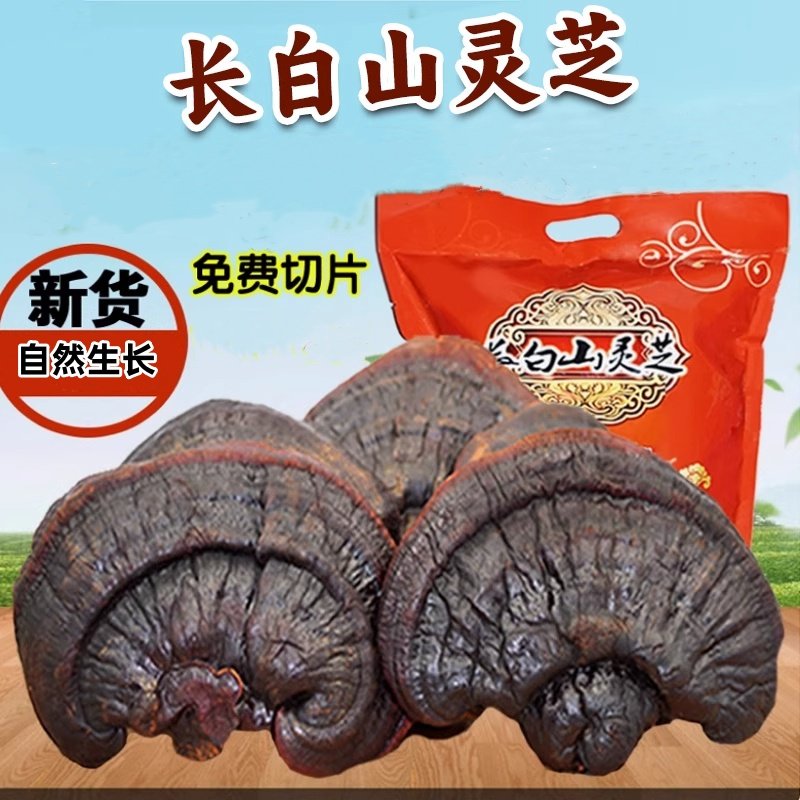 灵芝长白山野生半野生中药材赤林芝可切片新货赤灵芝特产旗舰店新