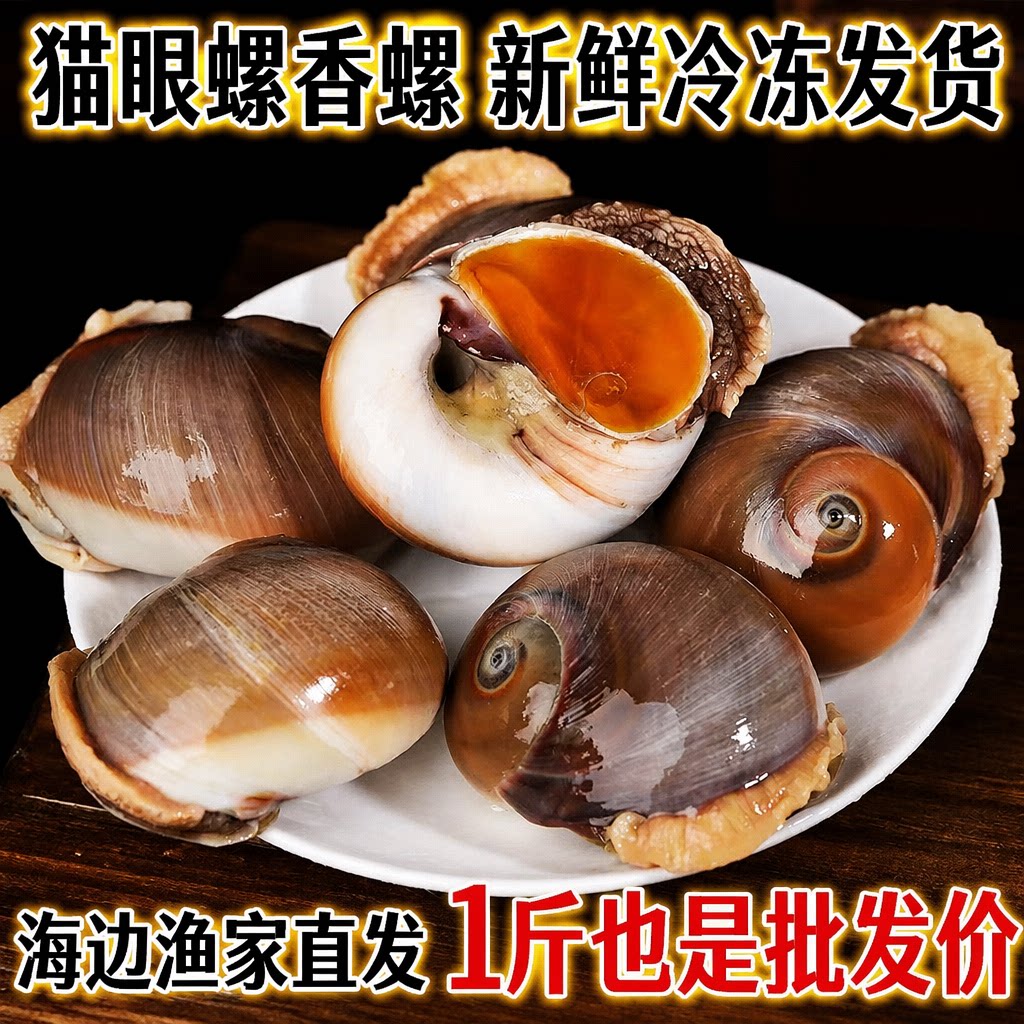 新鲜活冻冷冻猫眼螺香海螺海鲜水产贝类爆炒食材饭店商用批发图片