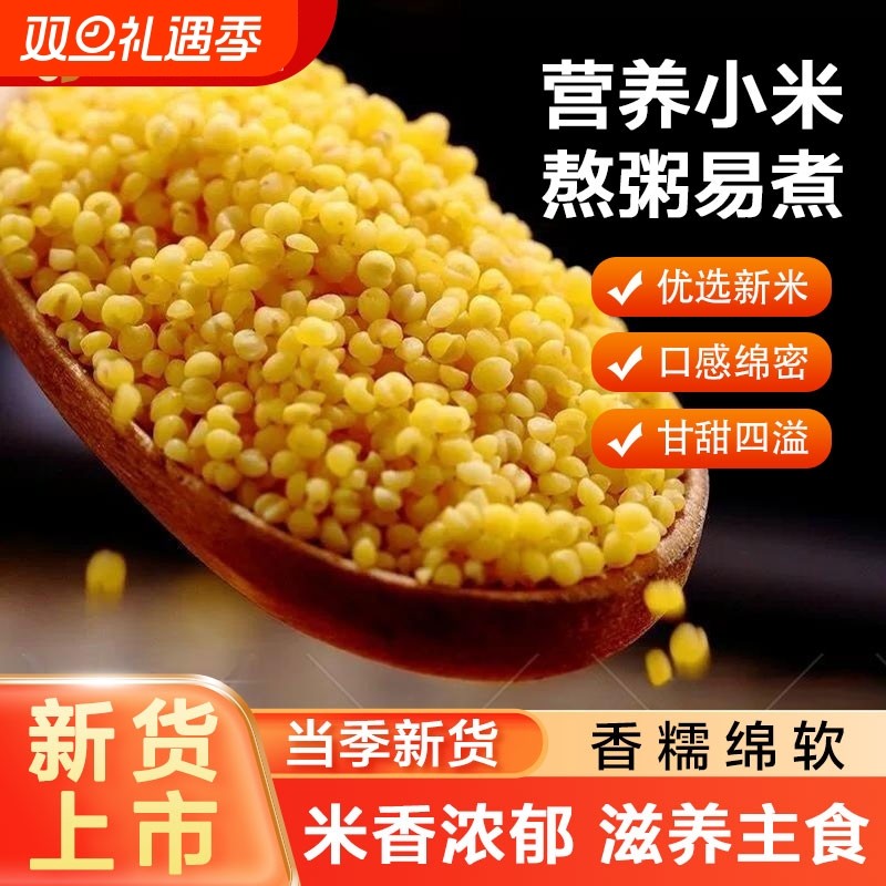 农家新鲜黄小米当季新米五谷杂粮粟米粗粮煲粥小米粥油脂软糯黄米